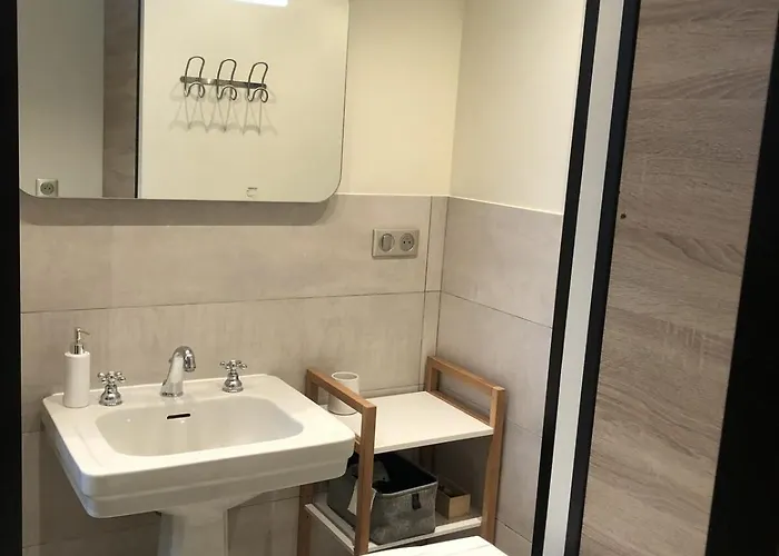 T2 40 M2 L'europe Beatrice Centre-ville 1 Parking